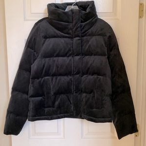 Abercrombie & Fitch Black Velvet Puffer Jacket